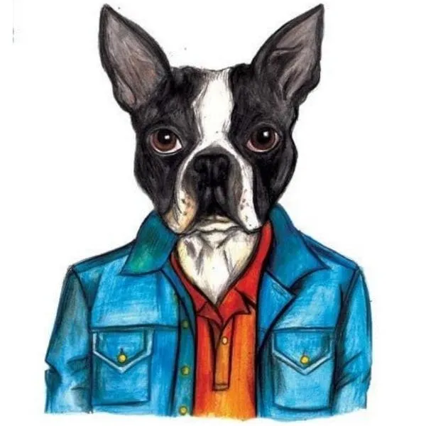 Boston Terrier Magnet